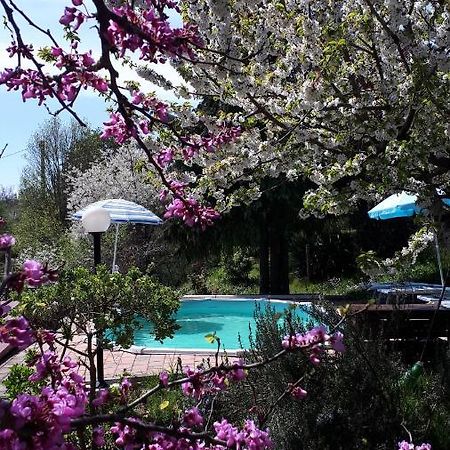 Apartamento Il Ciliegio Del Pellegrino Gubbio Exterior foto