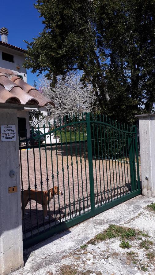 Apartamento Il Ciliegio Del Pellegrino Gubbio Exterior foto