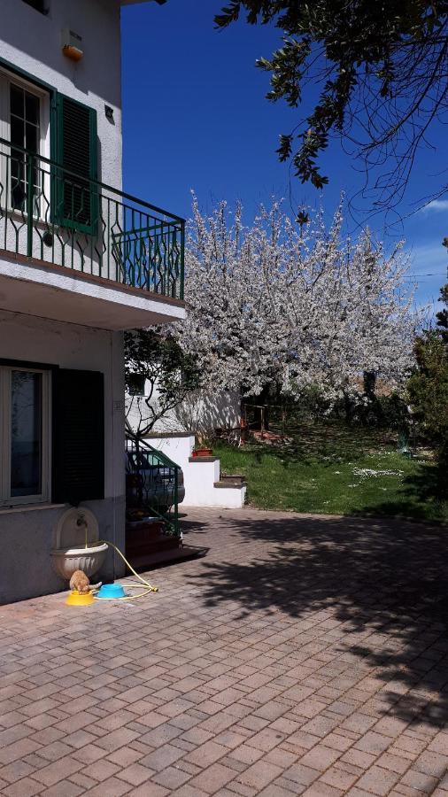 Apartamento Il Ciliegio Del Pellegrino Gubbio Exterior foto